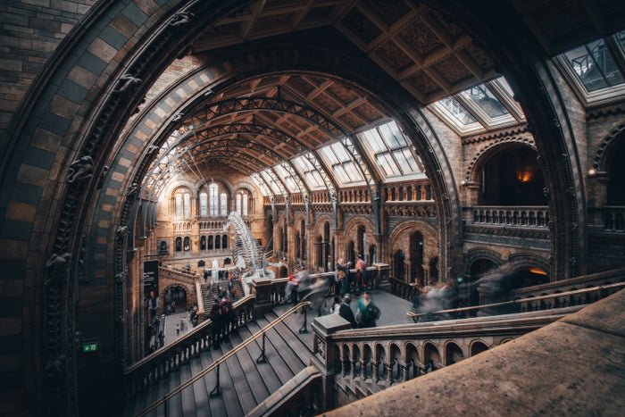 Natural History Museum Natural History Museum