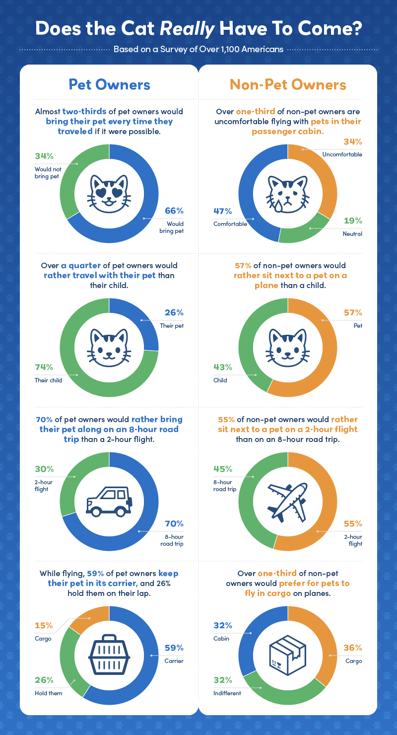 An infographic showing insights from a survey about pet travel