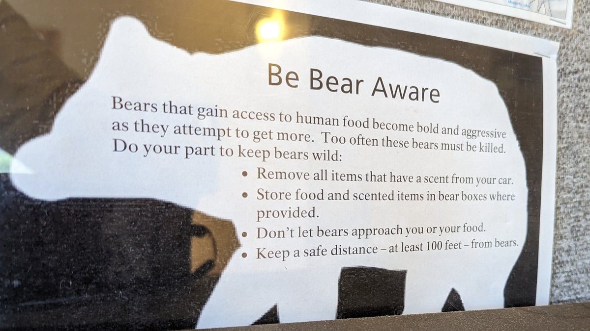 Wuksachi Lodge Sequoia National Park Sillman Building bear flyer