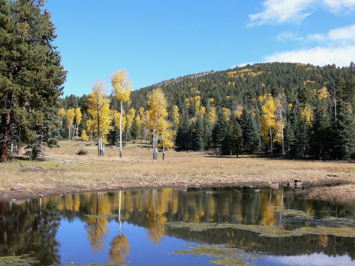 Bandelier National Monument for Fall Foliage Bandelier National Monument for Fall Foliage