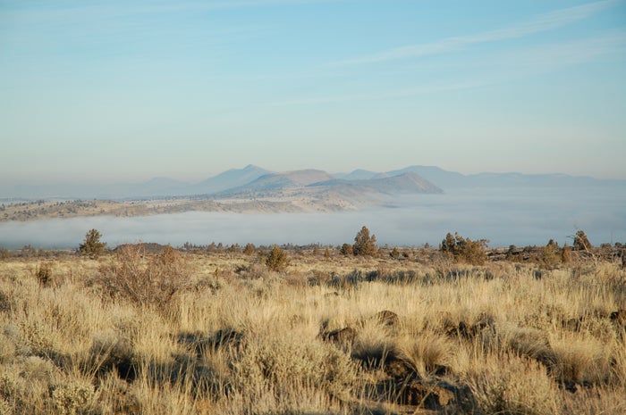 Fog over Tule Lake Fog over Tule Lake