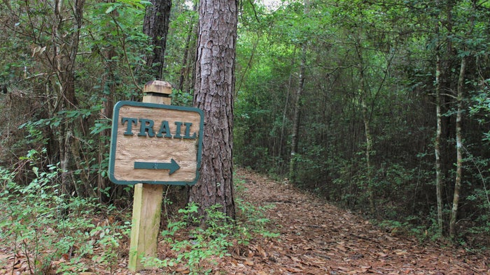Hiking Big Thicket Hiking Big Thicket