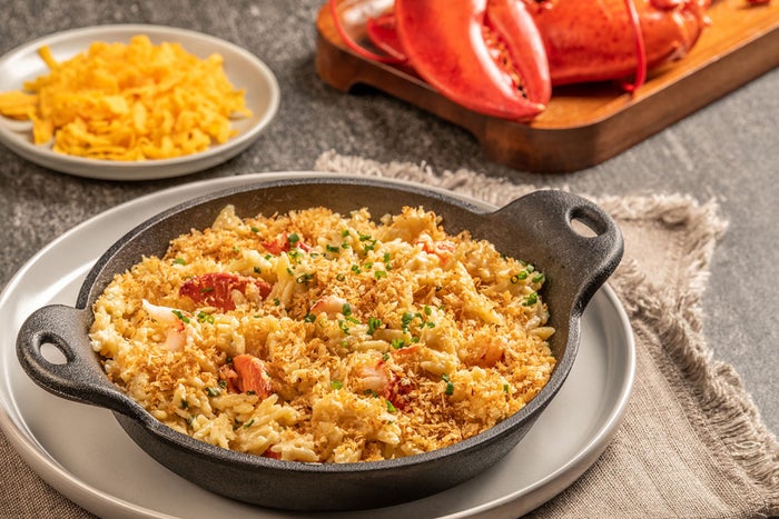 Amtrak Passenger with Manicotti Lobster Mac and cheese