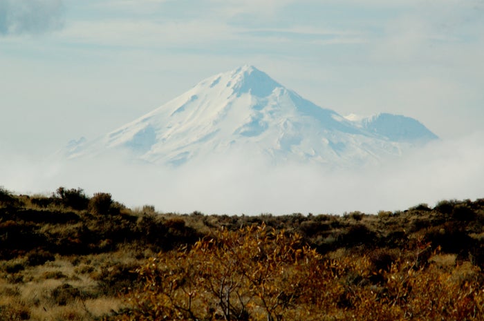 Mount Shasta Mount Shasta