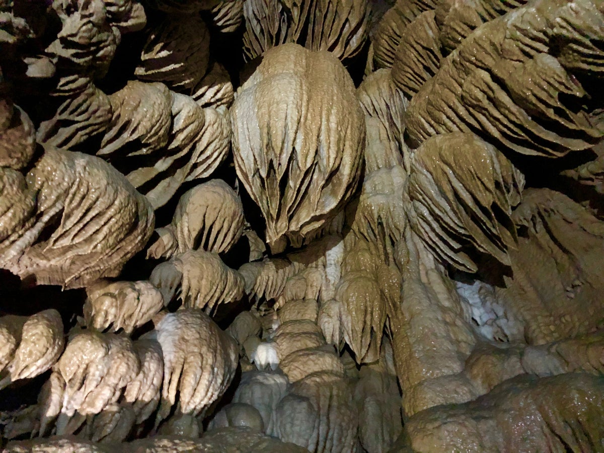 Paradise Lost Oregon Caves