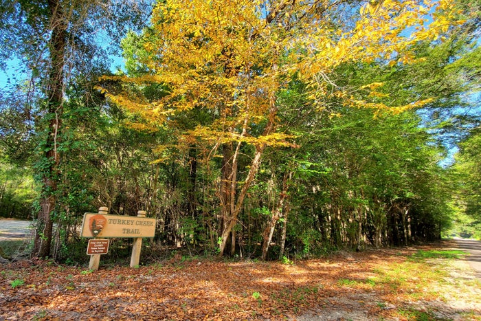 Turkey Creek Trailhead Turkey Creek Trailhead