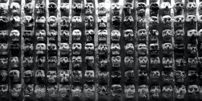 The 21 Best Museums in Mexico City, Mexico [2023]