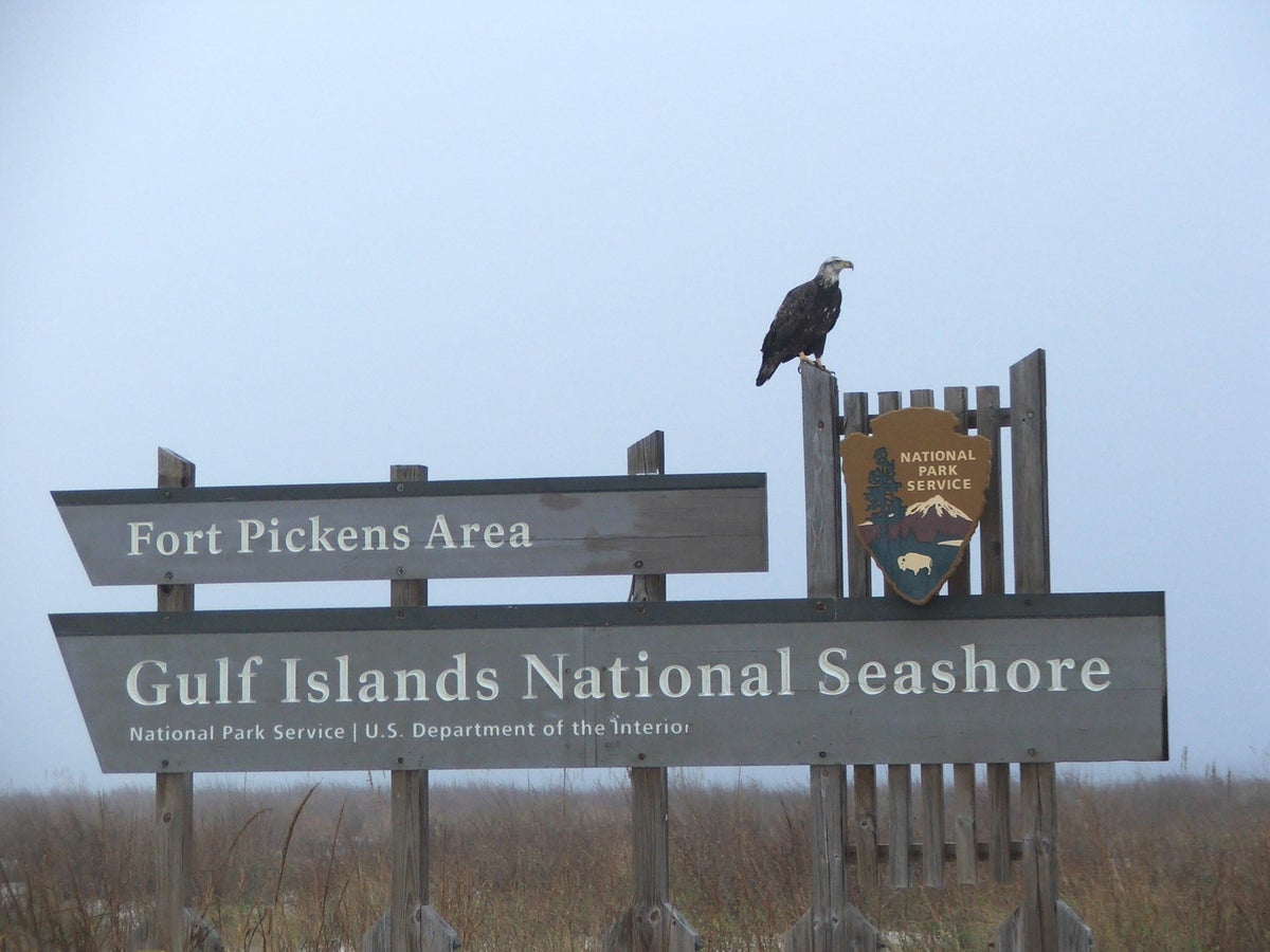 Driving To Gulf Islands National Seashore