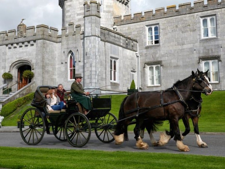 Dromoland Castle Horse and Carriage