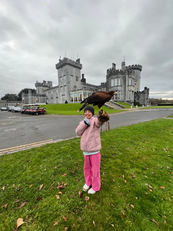 Dromoland Falconry Arm Dromoland Falconry Arm