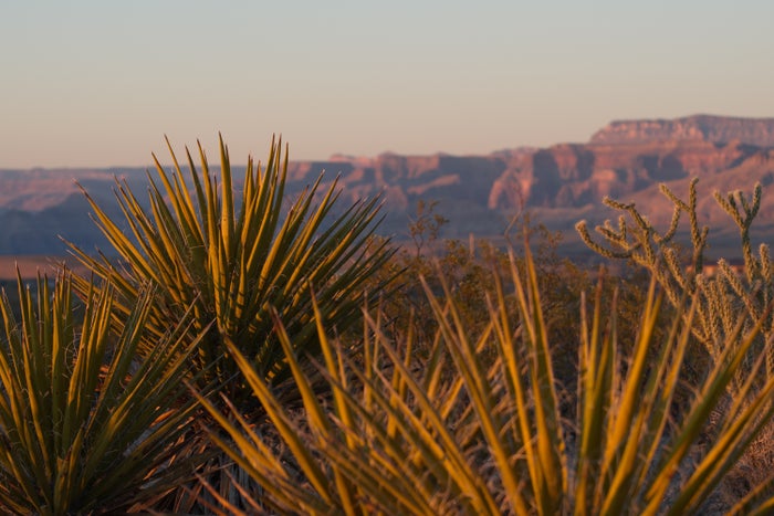 Lake Mead National Recreation Area Guide: Hiking, Camping, and More