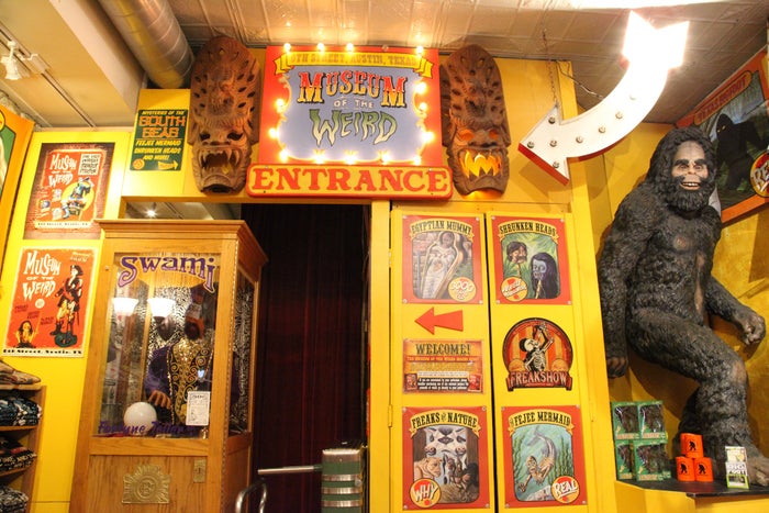 Museum of the Weird