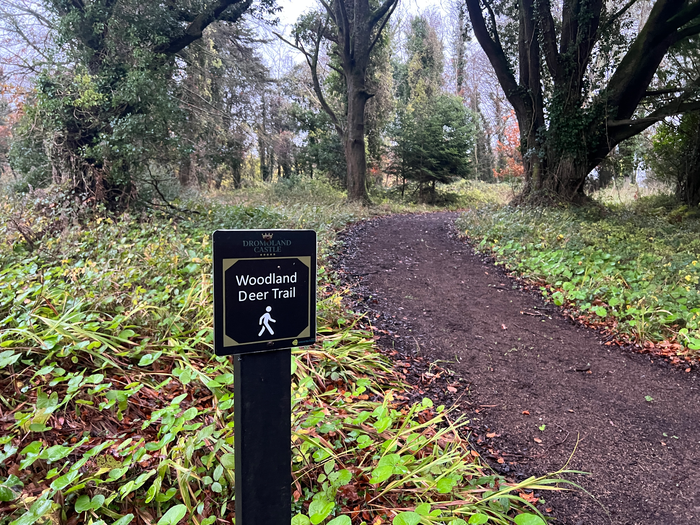 Dromoland Deer trail Dromoland Deer trail
