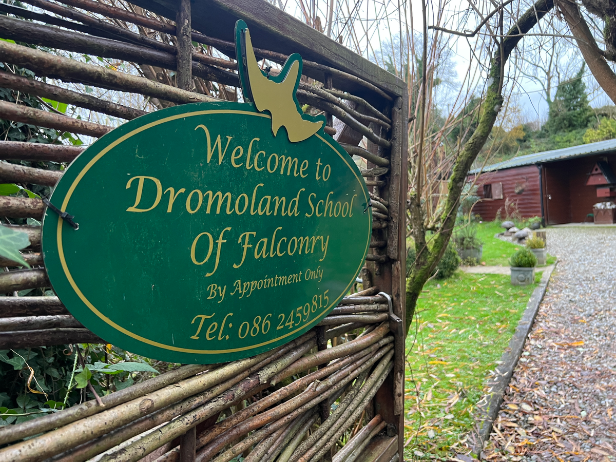 Dromoland School of Falconry