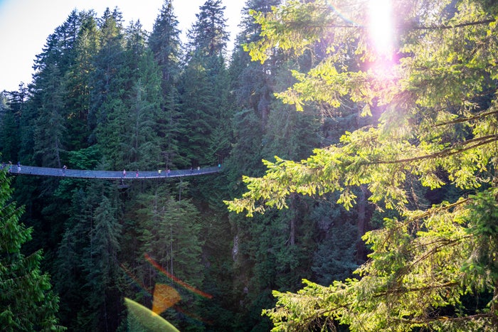 Capilano Suspension Bridge Park Capilano Suspension Bridge Park