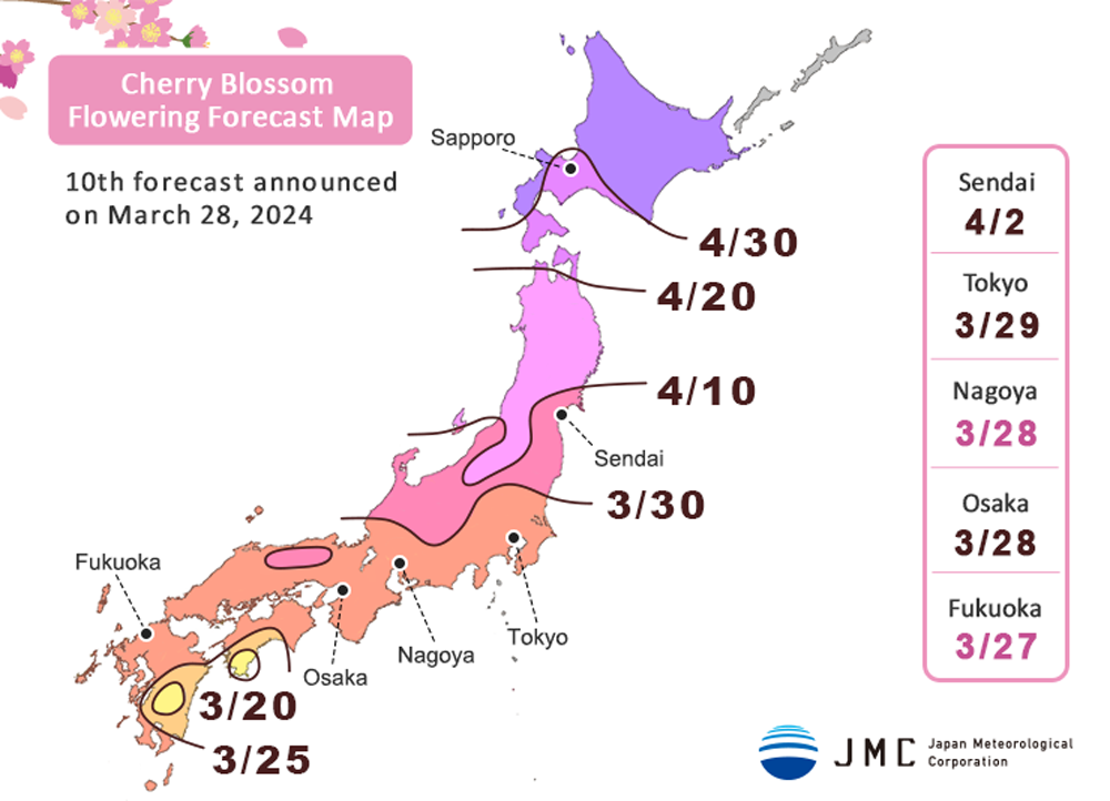 Cherry Blossom Flowering Forecast Map 032824