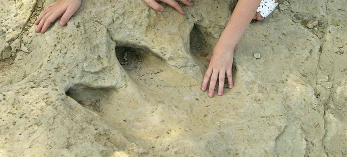 Dinosaur Valley State Park Dinosaur Tracks Dinosaur Valley State Park Dinosaur Tracks