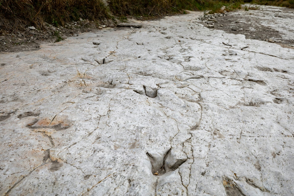 Dinosaur Valley State Park Guide — Camping, Fishing, and More