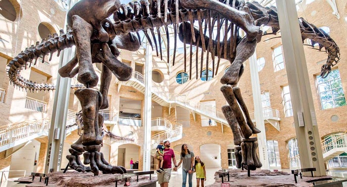 Fernbank Museum of Natural History