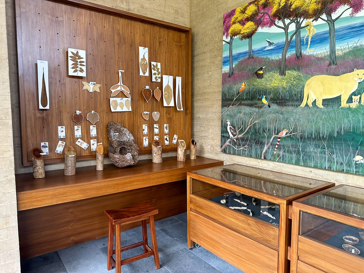 Four Seasons Tamarindo Discovery Center displays 