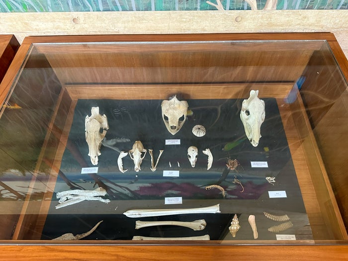 Four Seasons Tamarindo Discovery Center displays 