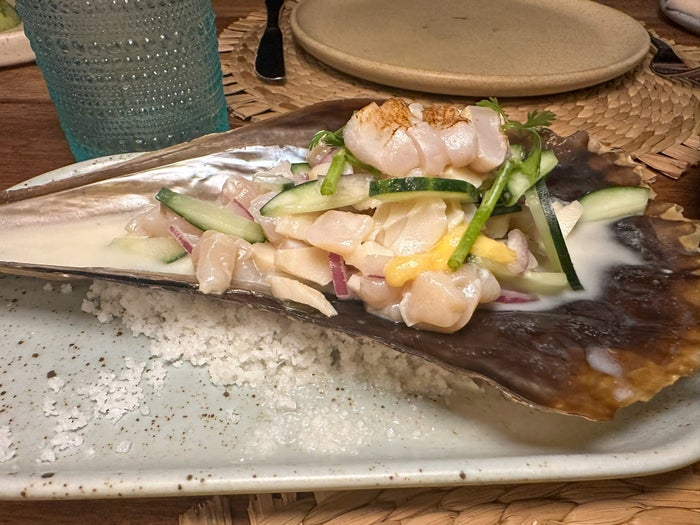 Four Seasons Tamarindo Sal captura de conchas