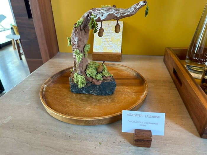 Four Seasons Tamarindo Suite bar chocolate tamarind tree welcome amenity