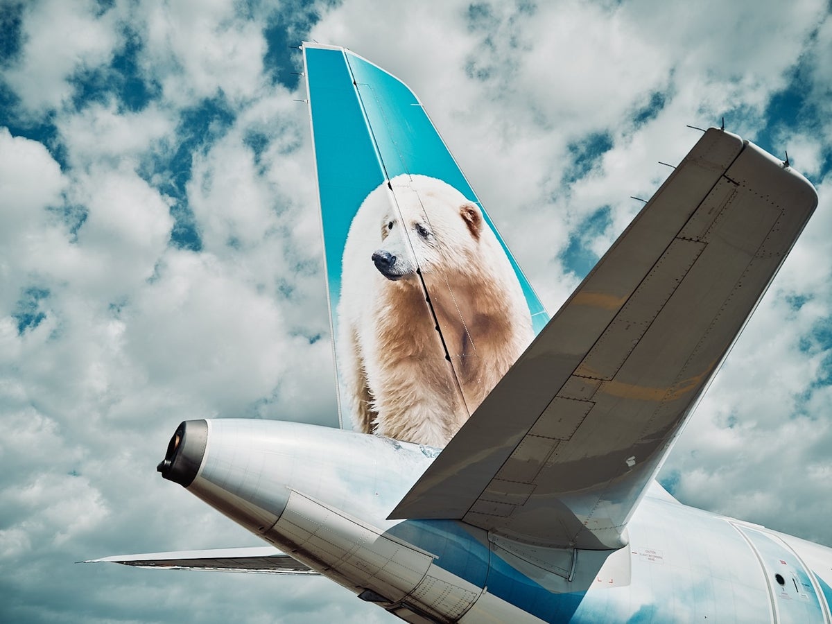 Frontier Launches New Flights from 38 Airports This Spring and Summer [U.S. and Caribbean]
