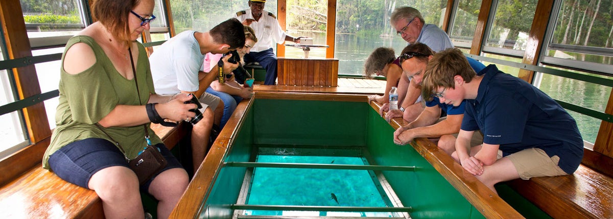 Glass Bottom Boat Tours Silver Springs State Park 