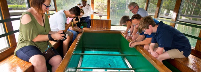 Glass Bottom Boat Tours Silver Springs State Park Glass Bottom Boat Tours Silver Springs State Park