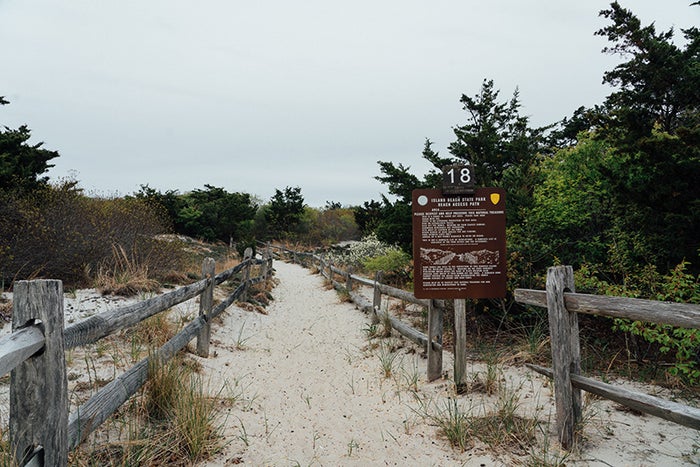 Hiking Island Beach State Park Hiking Island Beach State Park