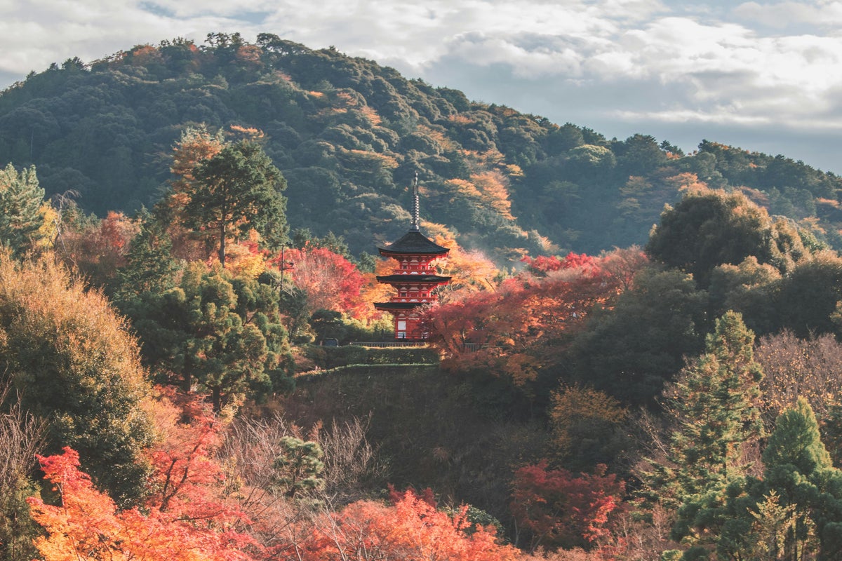 Best Travel Insurance for Japan: Your Worry-Free Guide