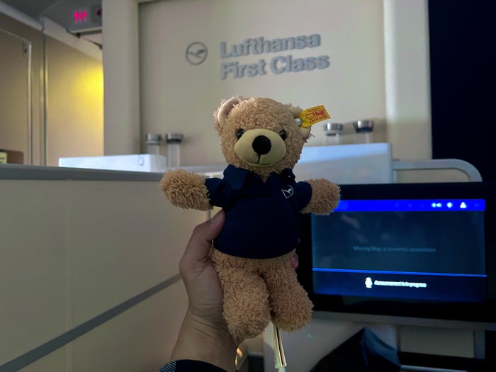 LH F A346 LH teddy bear LH F A346 LH teddy bear