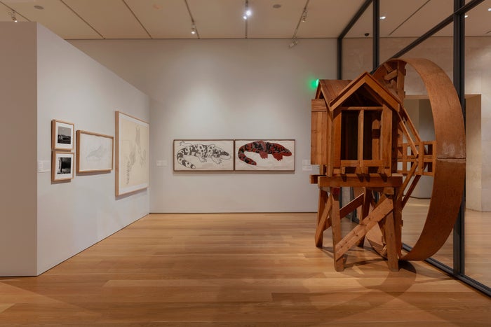 Nasher Sculpture Center