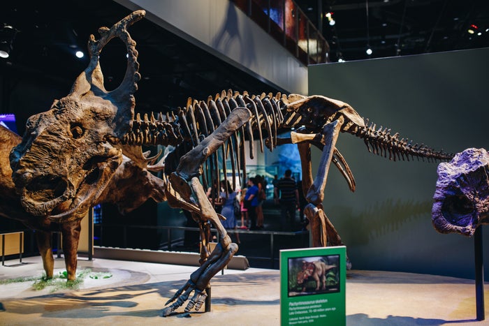 Perot Museum of Nature and Science