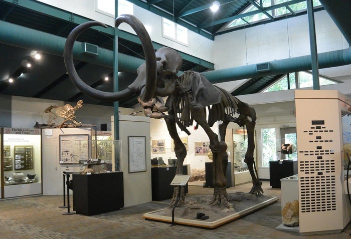 Silver River Museum and Environmental Education Center Silver River Museum and Environmental Education Center