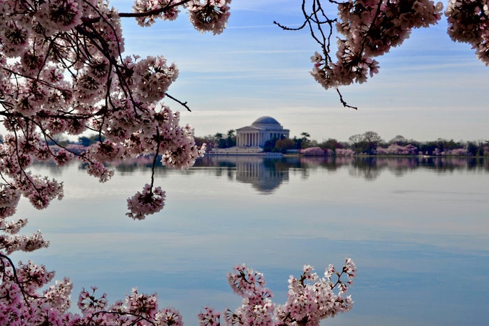 Washington D.C.
