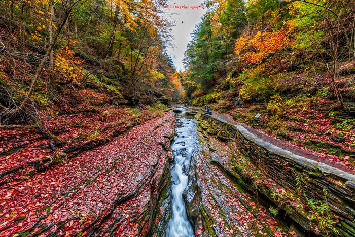 Watkins Glen State Park Fall Foliage Watkins Glen State Park Fall Foliage