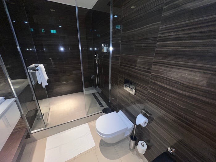 Air Canada business Maple Leaf Lounge Frankfurt bathroomshower