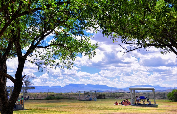 Balmorhea State Park Guide — Swimming, Birdwatching, and More