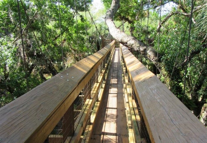 Canopy Walkway Canopy Walkway