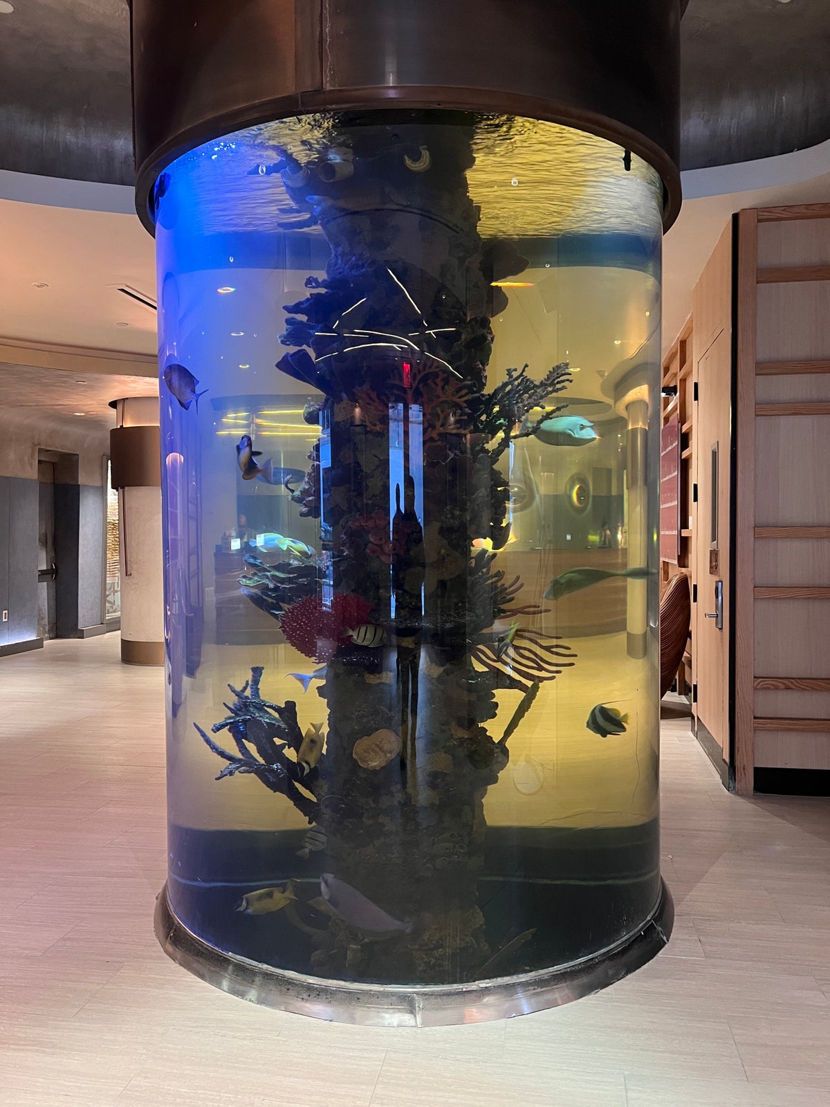 Dream Midtown lobby aquarium