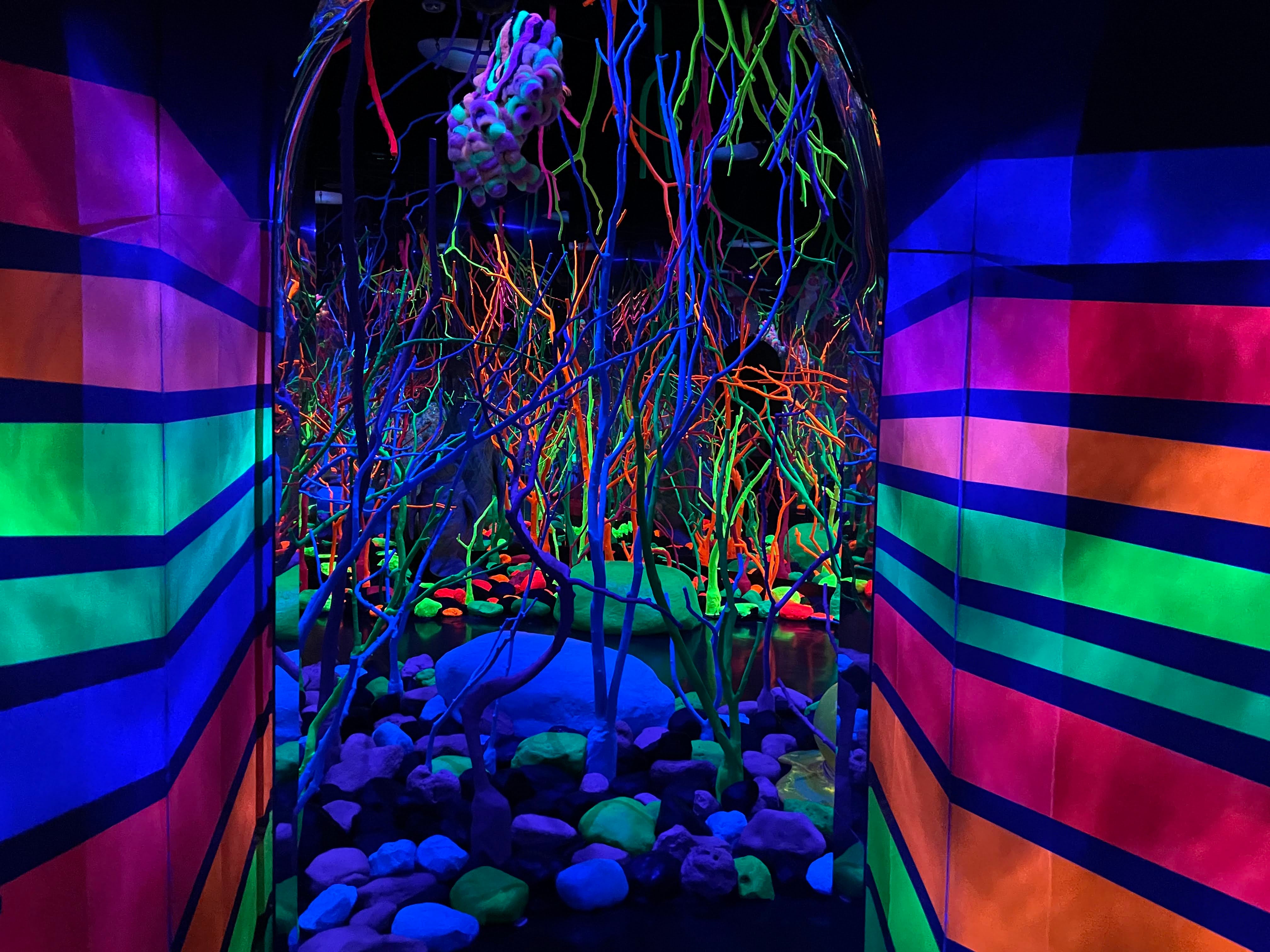 Meow Wolf Grapevine Review Personal Experience With Photos