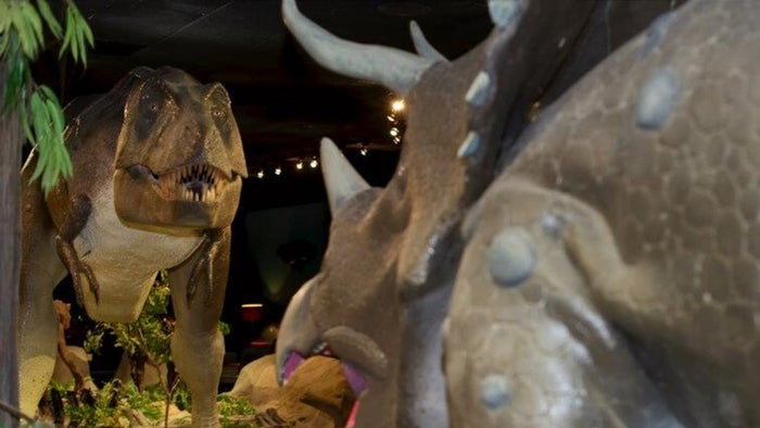 Las Vegas Natural History Museum