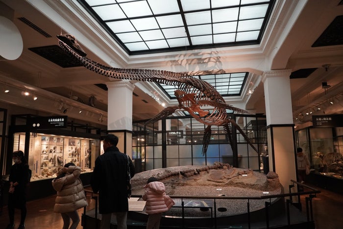 National Museum of Nature and Science National Museum of Nature and Science