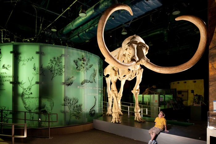 Nevada State Museum Las Vegas