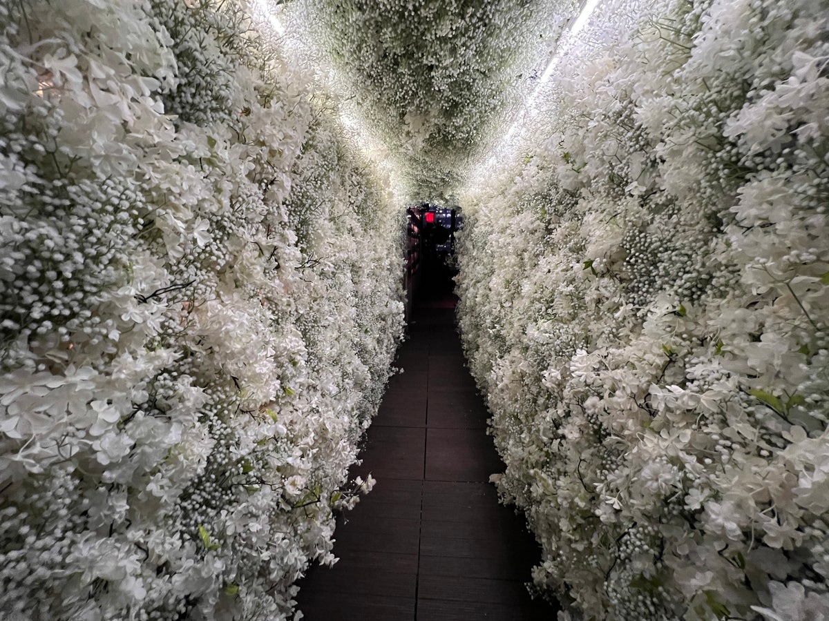 PHD Terrace Dream Midtown flower tunnel