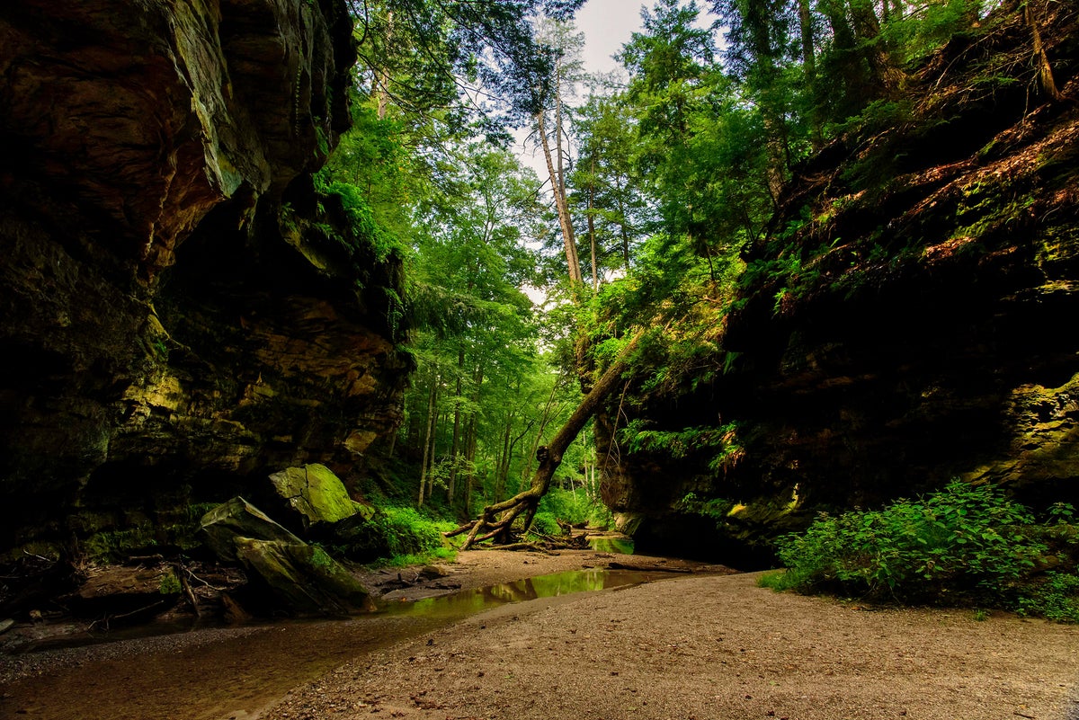 Turkey Run State Park Guide — Nature Center, Hiking, and More