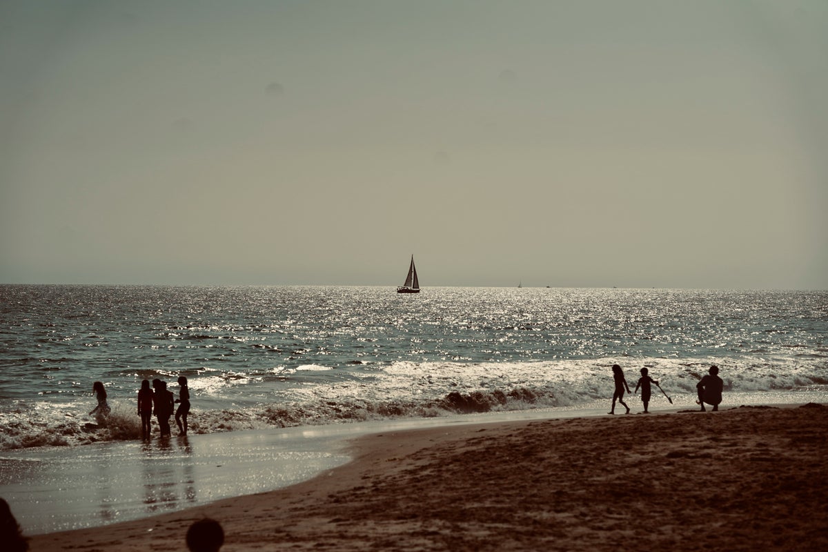 Guide to Crystal Cove State Park: Explore Underwater Adventures, Hiking Trails, and More




Guide to Crystal Cove State Park: Explore Underwater Adventures, Hiking Trails, and More








