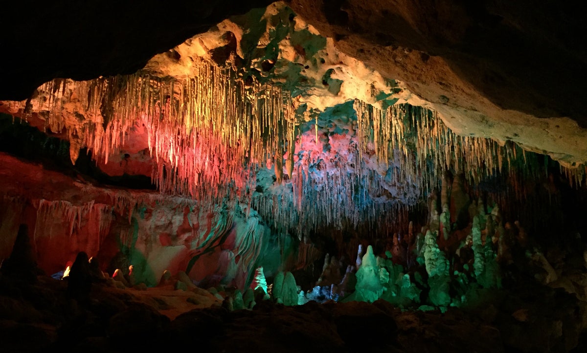 Florida Caverns State Park Guide — Tours, Hiking, and More
